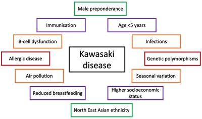 Kawasaki disease and the environment: an enigmatic interplay